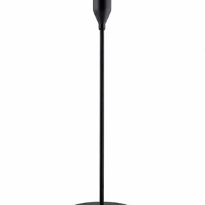 Black reed stand tall