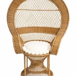 Peacock chair