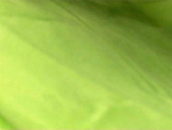 Lime draping fabric 6m