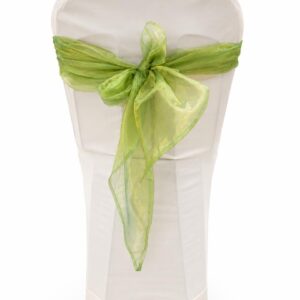 Lime organza chair tie
