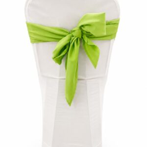 Lime triangle chair tie