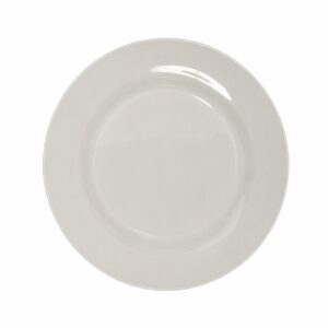 Plain white dinner plate