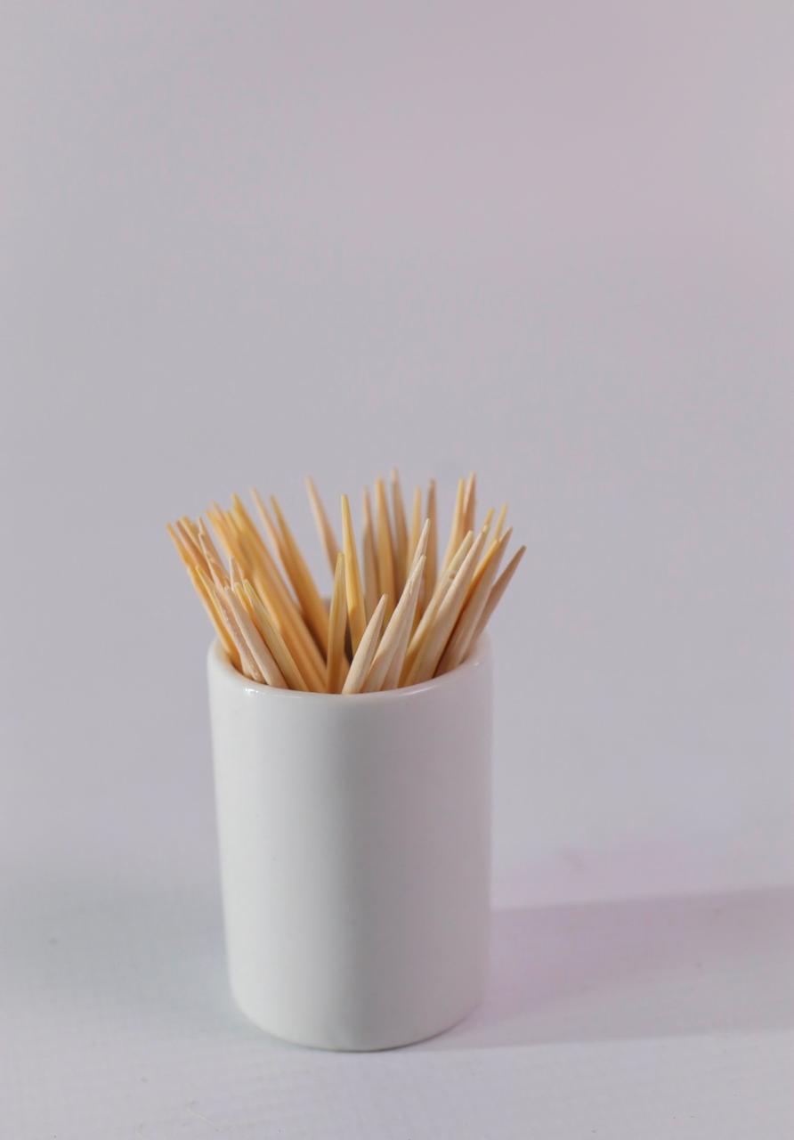 Toothpick holder